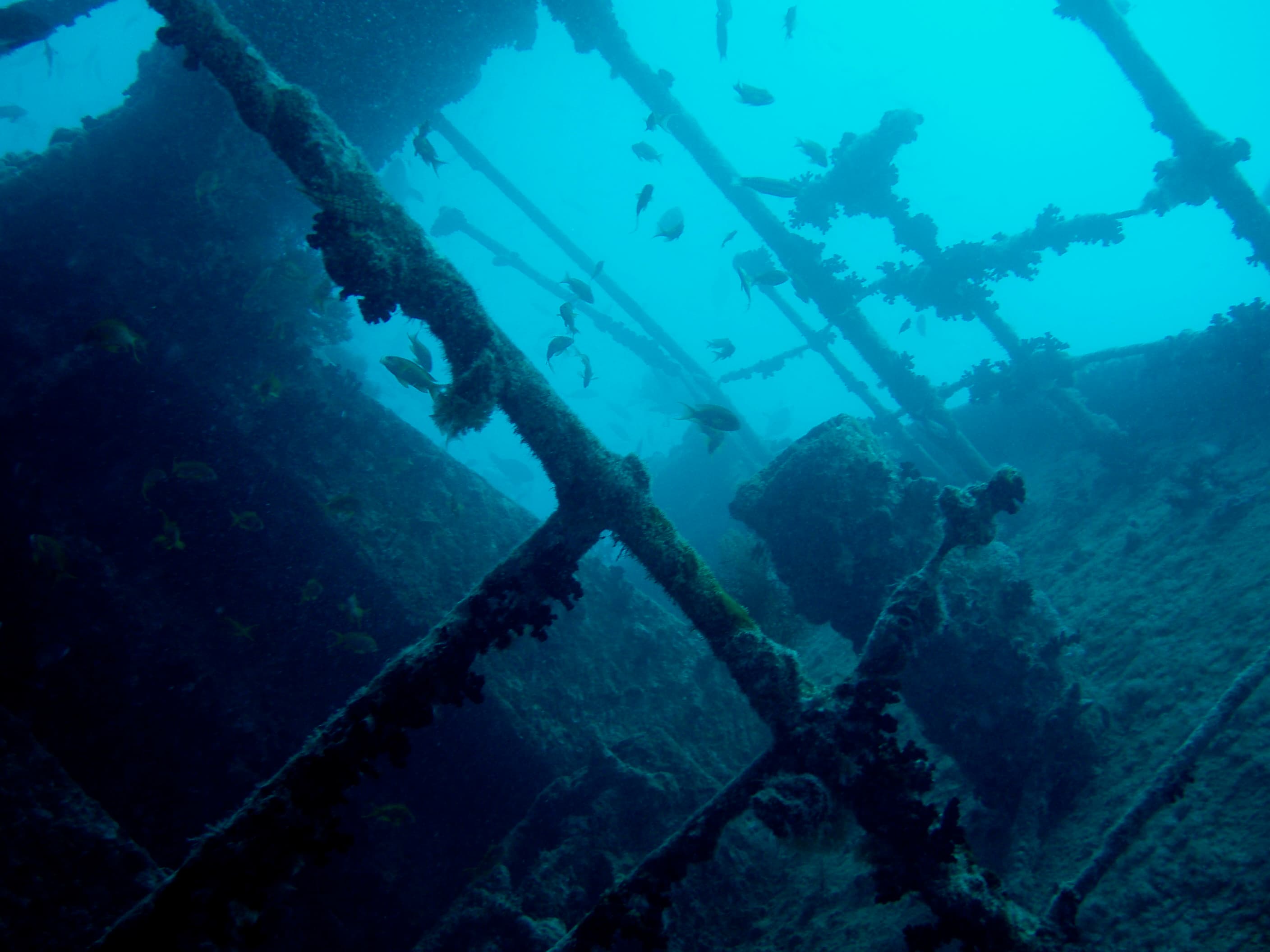 SS Thistlegorm