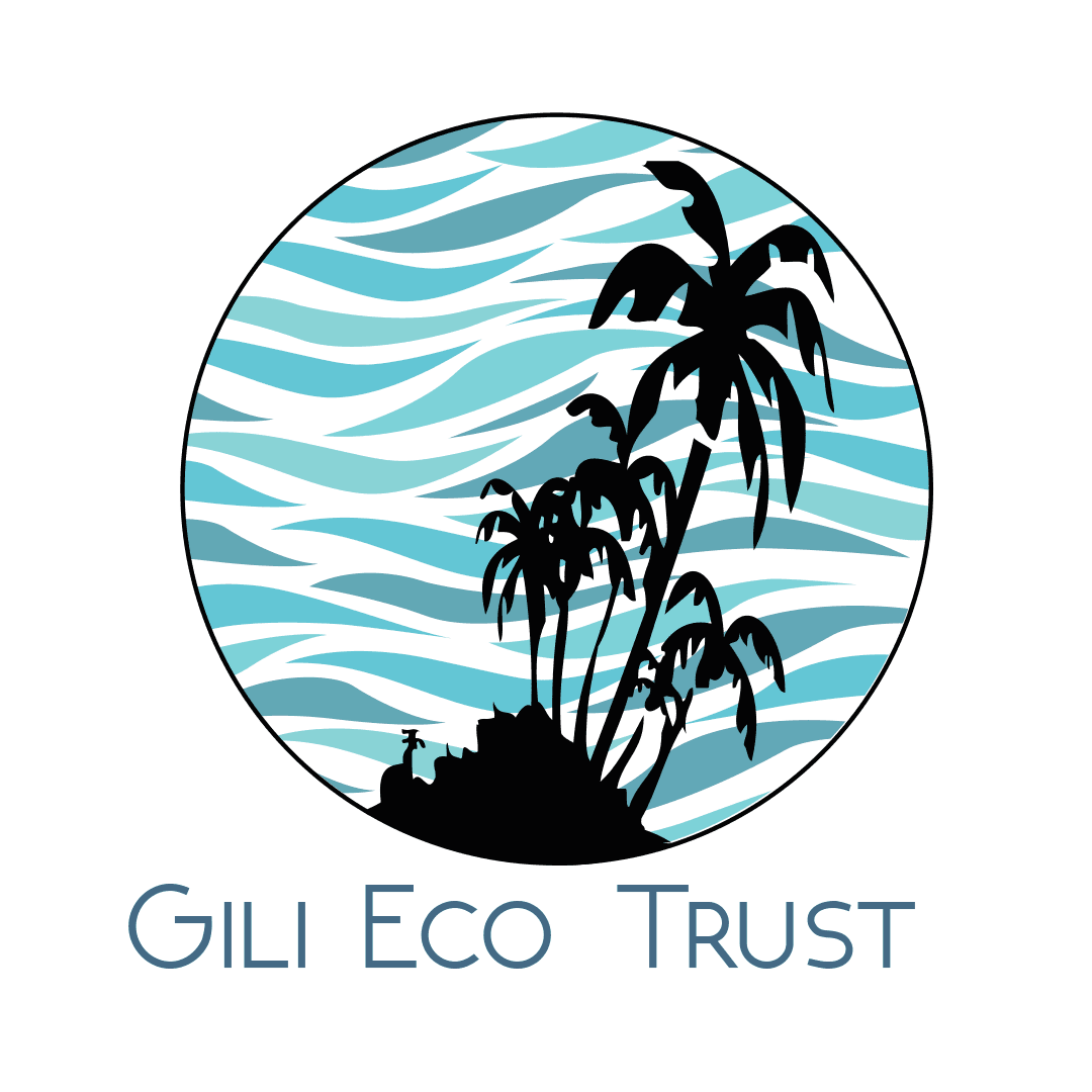 Gili Divers Biorock