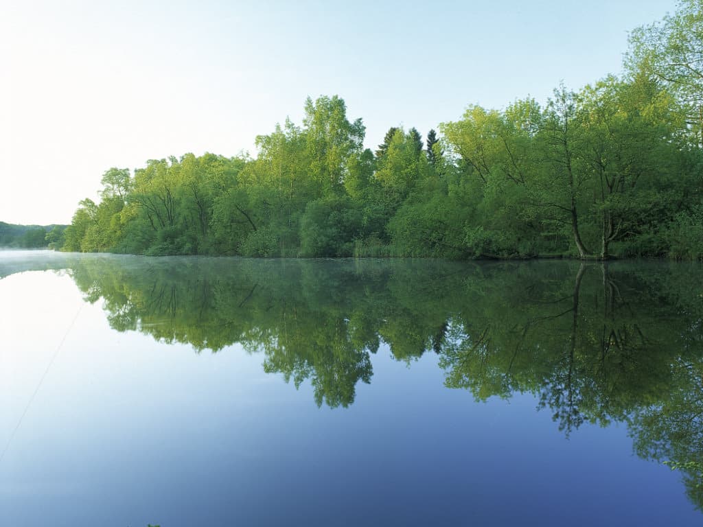 Großer Kronsee