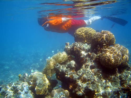 Snorkeling