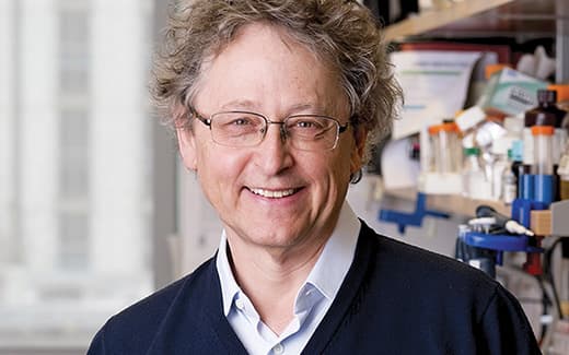 Michel C